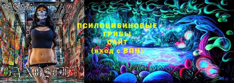 Псилоцибиновые грибы Magic Shrooms  ссылка на мегу маркетплейс  Тайга  закладки 